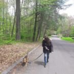Paseando a Sebastian, el mejor perro del mundo según Martín.