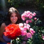 Las rosas gigantes