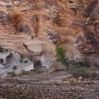 Impresionante como quedó erosionado el terreno