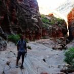 Camino al Observation Point