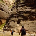 The Narrow