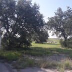 Se nos hizo tarde y sin pueblo cercano tuvimos que dormir al lado de la carretera...