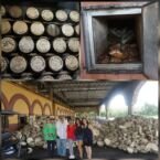 En Herradura con la familia mexicana, aprendiendo sobre el proceso de elaboración del Tequila