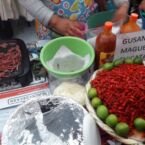 gusanos de maguey