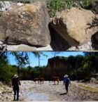 Arriba: Fósiles marinos;
Abajo: Camino a las huellas de dinosarios