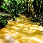 Las tormetas han hecho que el agua se lleve muchos sedimentos