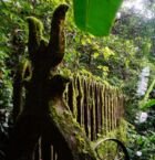 Mucha droga pasó por aquí - Parque Surrealista Edward James