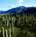 Bello paisaje.