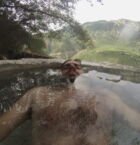 Relajante