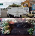 El agave siendo transportado y luego cortado.