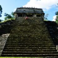 Increíble pirámide en el medio de la selva.