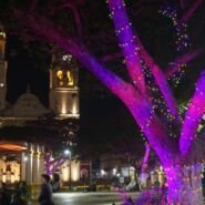 Plaza principal de Campeche iluminada para navidad