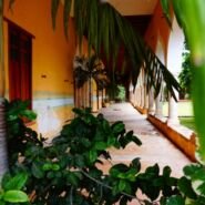 Bella Hacienda de Henequen.