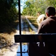 Carrito sobre vías del tren tirada a caballo....
