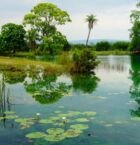 Lagos de Colón y el reflejo del paisaje