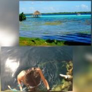 Los colores y los cenotes