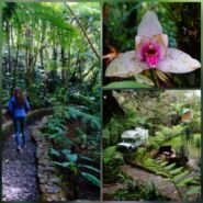 Nos gustó saber sobre las orquídeas y recorrer el bosque