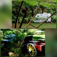 El camper descansando en un paraíso