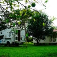 Camping en el rescate de pájaros