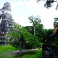 Sentados por unos minutos, observando la plaza central