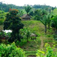 Ranchos agricolas en las praderas.