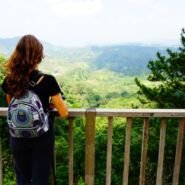 Mirador dentro de la caminata de 5 horas