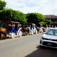 Carruajes en Granada