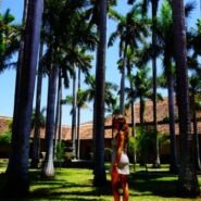 Patio del Ex Convento San Francisco (Actual Museo)