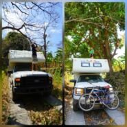 Luchando con las ramas para llegar a la playa