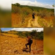 Y el bosque? De golpe estamos en un paisaje semi árido.