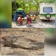Vecinos en Playa Conchal