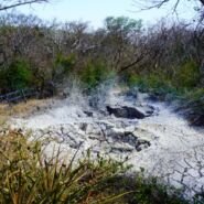 Fumarolas y barro hiper hirviendo en Rincon de la Vieja