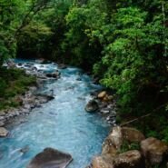 El Rio Celeste ya en las afueras del Parque Nacional Tenorio