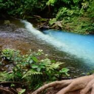 Aquí se puede ver la linea divisoria, donde una reacción química y naturaleza se juntan para formar el color celeste.