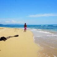 El caribe costarriquense en su máxima expresión