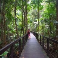 Salida o entrada depende de donde vengas de Cahuita, muy lindo PN