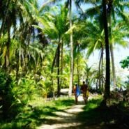 Divina caminata bordeando la playa desde Boca de Drago a Playa Zapatilla