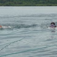 La excelente actividad de Deepboarding en uno de los corales más lindos del mundo.