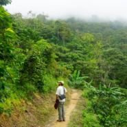 Caminos de trekking en Minca