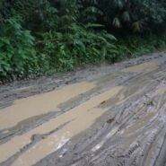 En Minca los caminos mientras llovía tomaban protagonismo